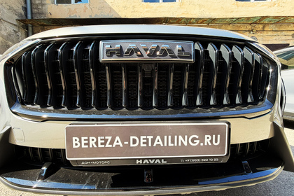haval-jolion-ustanovka-setki-v-reshetku1