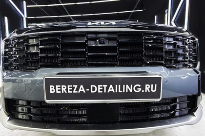 kia-sportage-ustanovka-setki-v-reshetku1